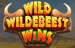 Wild Wildebeest