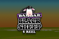 BAR BAR Black Sheep